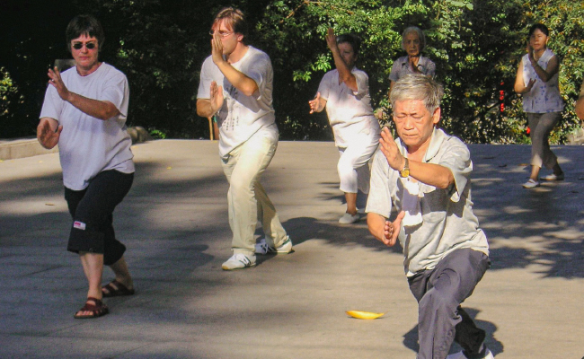Agnes Bach | Tai Chi Chuan Tradition