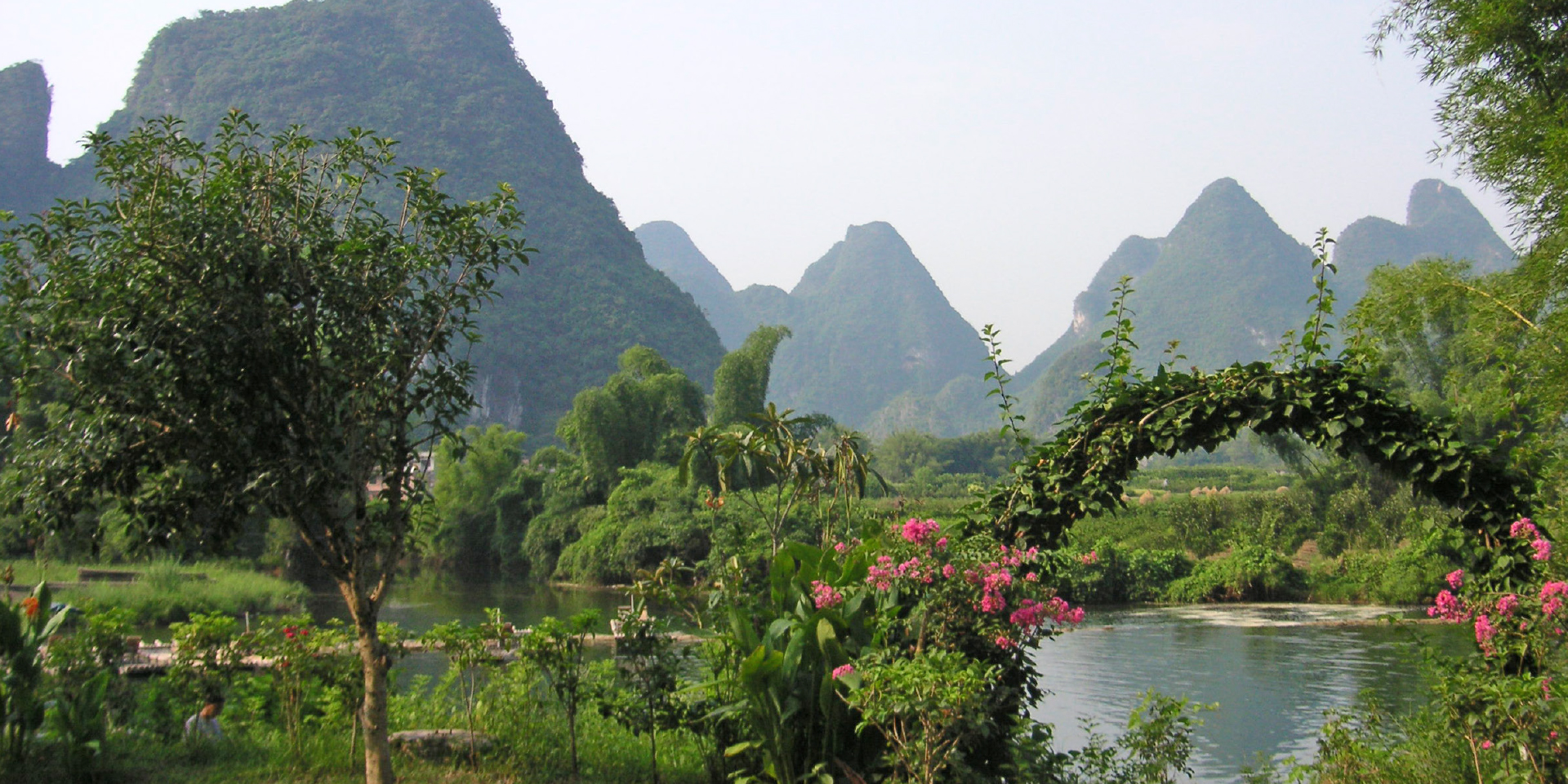 Agnes Bach | Über mich